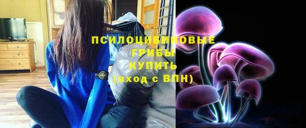стаф Горняк