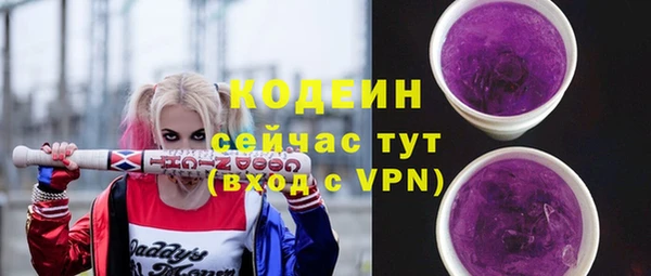 круглые Гусев