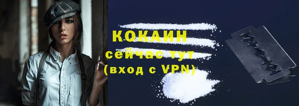 гидра Магас