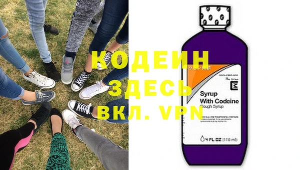 круглые Гусев