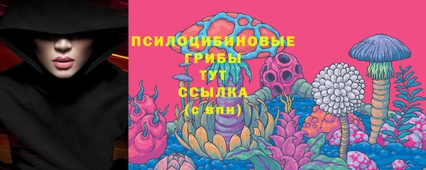 ECSTASY Гусиноозёрск