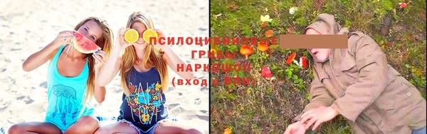 скорость Гусь-Хрустальный