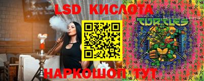 PSILOCYBIN Кингисепп