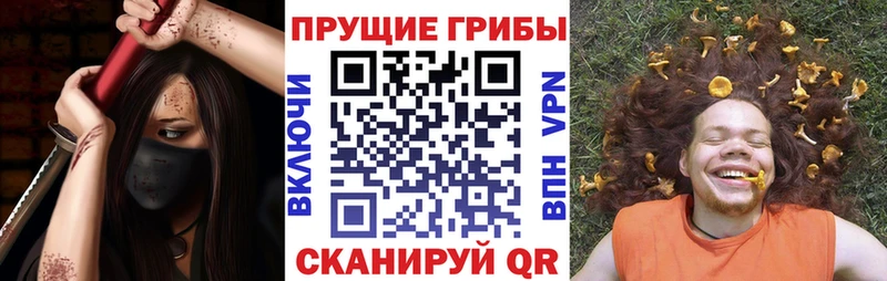 Псилоцибиновые грибы прущие грибы  закладки  Мценск 