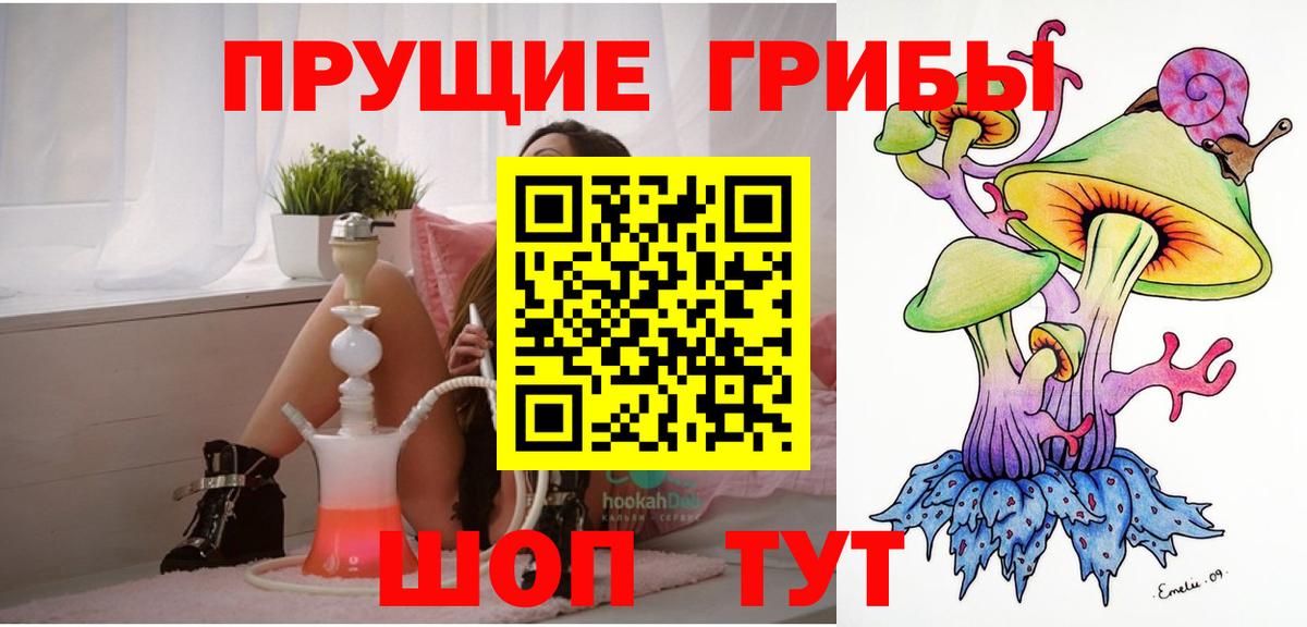 Мценск  Псилоцибиновые грибы Psilocybe  Вход с VPN 