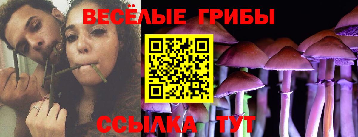 Псилоцибиновые грибы Magic Shrooms Мценск